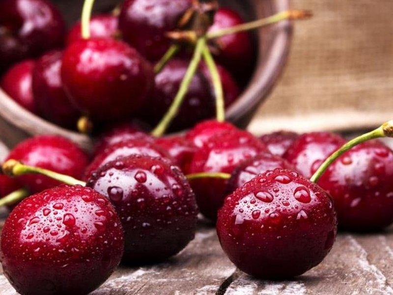 Вишня купить саженцы из питомника в Нягани